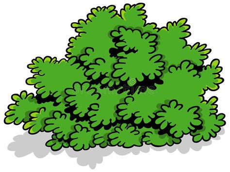 Shrub Clipart