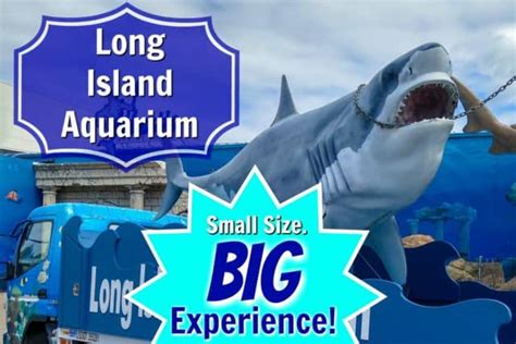 A Day at the Long Island Aquarium - Adventures in Familyhood