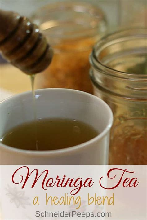 Moringa Tea {a simple and frugal healing tea} - SchneiderPeeps