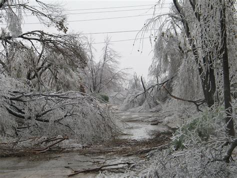 Heart Maine Home: Hurricanes, ice storms and more