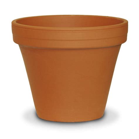 Clay Pot.