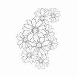 Gerber Daisy Coloring Pages sketch template