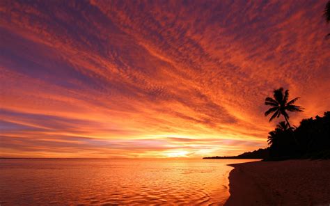 Exotic Sunset Mac Wallpaper Download | AllMacWallpaper