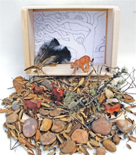 Oak Woodland Diorama (Create-A-Scene® Habitat Diorama Kit)