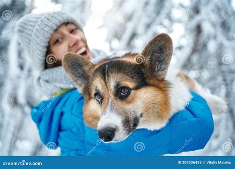 Funny Dog Welsh Corgi in Arms of His Female Owner Outdoor in Winter ...