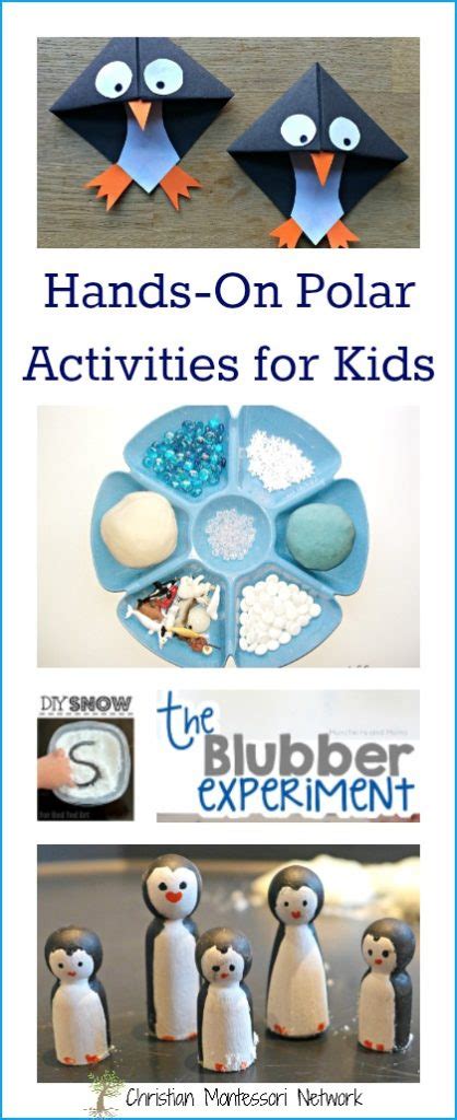 Hands-On Polar Activities for Kids - Christian Montessori Network