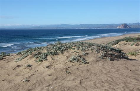 Sandspit Beach - Montana de Oro State Park, Los Osos, CA - California Beaches