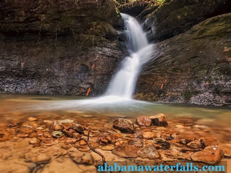 Bankhead National Forest Trip Guide - Alabama Waterfalls