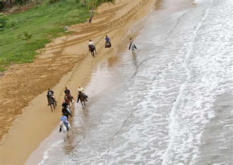 Carabalí Rainforest Park: Beach Horseback Riding | GetYourGuide