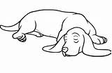 Basset Hound Coloring Pages  Best Coloring Pages For Kids sketch template