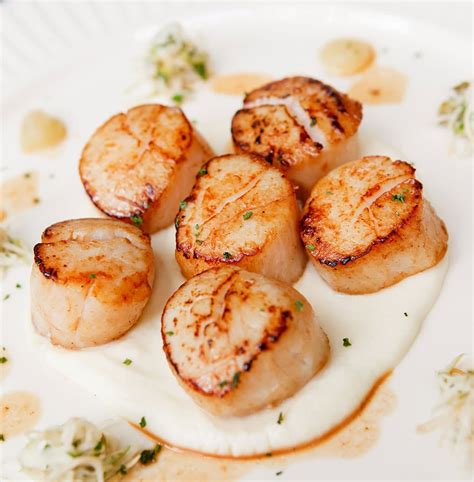 Baked Scallops | Cape Cod LIFE