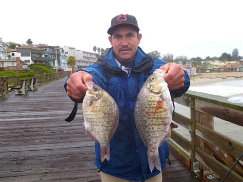 Capitola Wharf - Pier Fishing in California