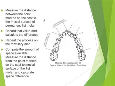 mixed dentition analysis