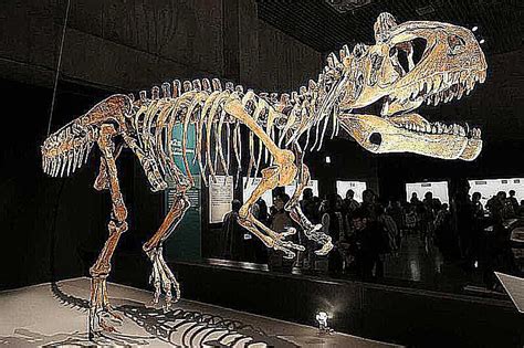 10 Facts About Cryolophosaurus