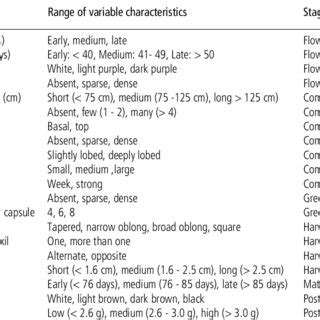 List of morphological markers and their stage of observation employed... | Download Table