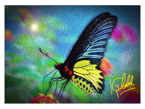 Digital Painting of Butterfly - Desi Painters