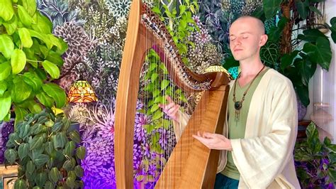 Celtic Harp Relaxation Meditation - Peaceful Deep Sleep Aid & Stress Relief Healing Harp Music ...