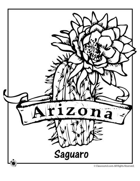 arizona state flower drawing - Heartening Webcast Fonction