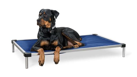 Elevated Dog Beds | Raised | K9 Ballistics