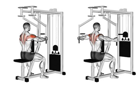 Exercise Database (Shoulders53) - Seated Reverse Fly - Vertical Handles ...