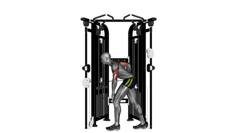 Master the Tricep Cable Kickback: A Beginner's Guide to Perfect Form on the Crossover Machine ...