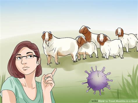 How to Treat Mastitis in a Goat: 11 Steps (with Pictures)