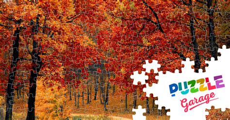 Autumn nature Jigsaw Puzzle (Nature, Forest) | Puzzle Garage