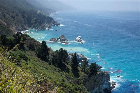 Experience California’s Coastal Wildlife on This Nature-Filled Road Trip