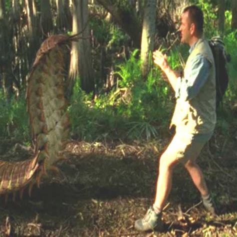 Arthropleura | Animalia Enthusiasts