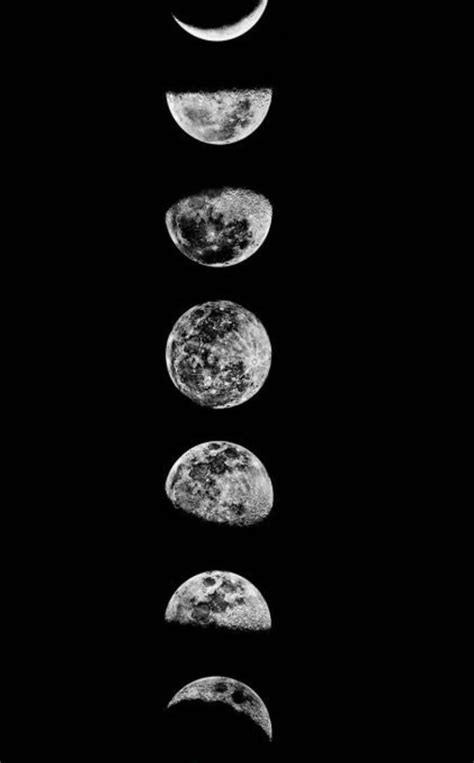 Wallpaper Fases da lua / Moon phases | Moon phases, Wallpaper, Moon