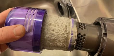 How to Clean The Filter On a Dyson Animal Vacuum - Cleaning Beasts