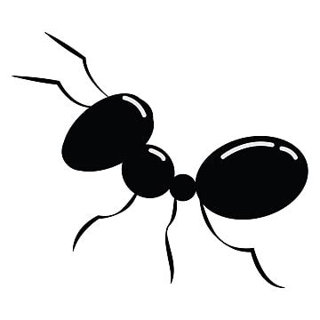 Ant PNG Images | Vector and PSD Files | Free Download on Pngtree