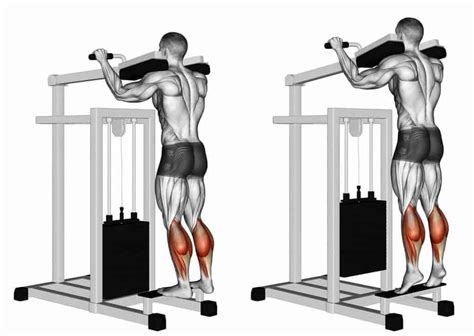 The Benefits of Standing Calf Raises and How to Do Them