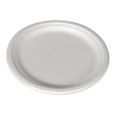 10" Bagasse Plate