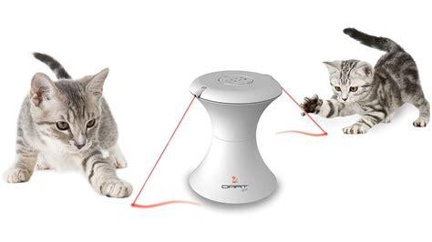 Best interactive cat toys: Fun toys for better cat play | PetsRadar