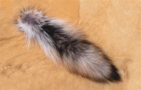 Grey Wolf Tail Keychain - SOLD by thewildheartedone | Wolf tail, Grey wolf, Wolf