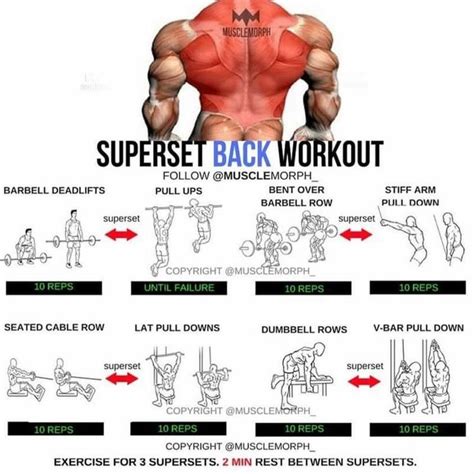 Pin by Cristian Sánchez on Workout | Bodybuilding workouts, Fun workouts, Back workout