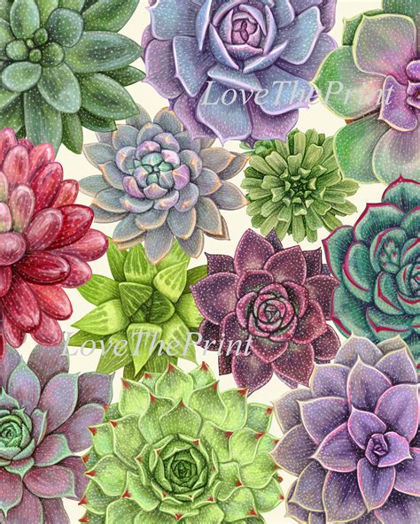 Succulent Wall Art Print Set of 4 Prints Beautiful Colorful | Etsy