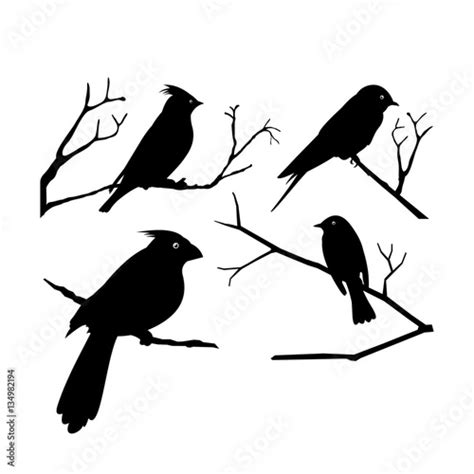 "A Bird Perched on a Branch Vector Silhouette Set" Stock image and royalty-free vector files on ...