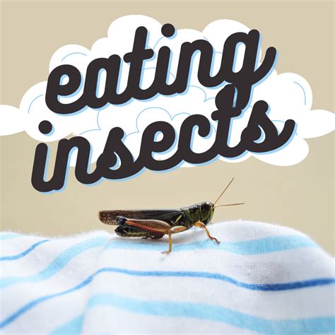 Episode 35 - Eating Insects — Pullback Podcast