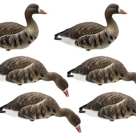 Goose Decoys - Market's Finest Available Now | Lucky Hunter