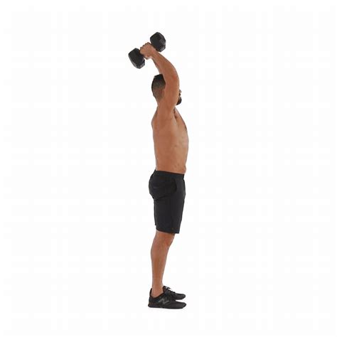 Dumbbell Overhead Triceps Extension | Programme musculation, Musculation, Exercices de fitness