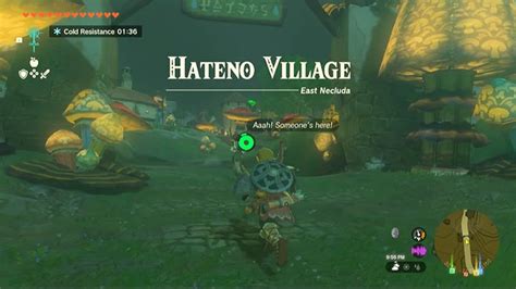 Where Is Hateno Village Location In Zelda Tears of The Kingdom?