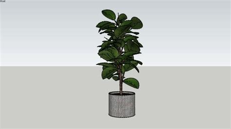 Plant 111 | Plants, Sketchup model, Roof plants