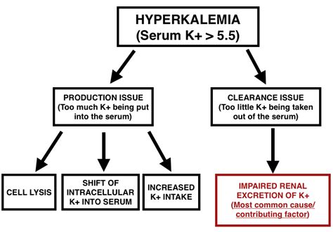 A Guide To Hyperkalemia - Stepwards