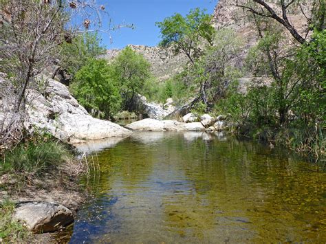 Wide part of the creek: Sabino Canyon Trail, Sabino Canyon Recreation ...