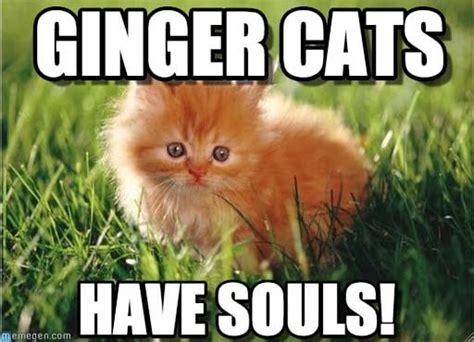 30 Ginger Memes That Are Way Too Witty - SayingImages.com