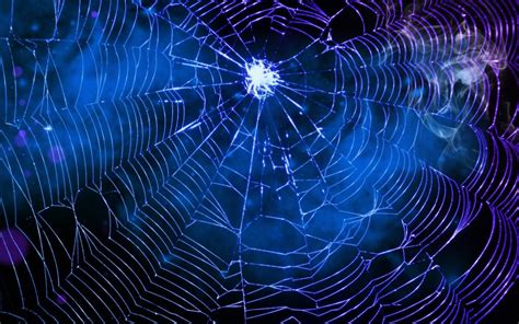 Spider Web Wallpaper HD - WallpaperSafari