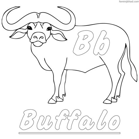 Buffalo Coloring Pages For Kids at GetColorings.com | Free printable ...