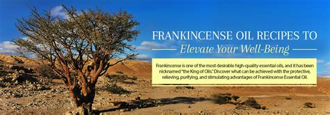 Frankincense Oil Recipes To Relieve Stress & Reduce Inflammation